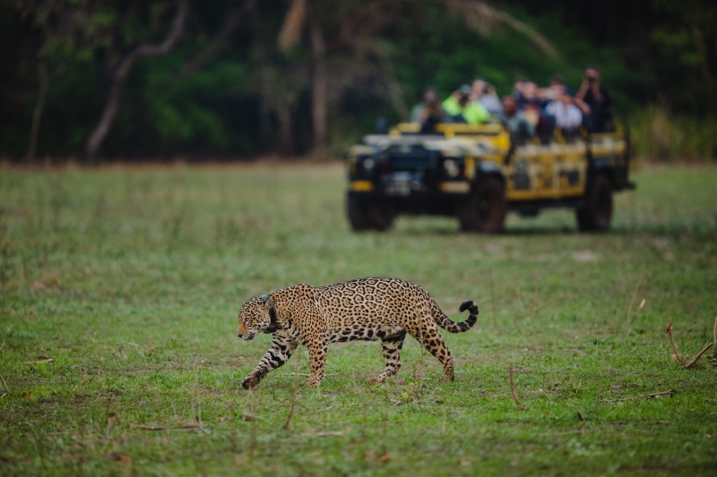 Turismo refugio-ecologico-caiman